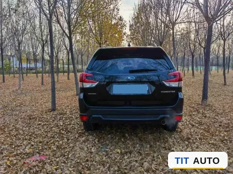2019 Subaru Forester 7
