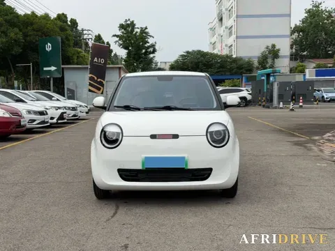 2022 Levdeo Mango 2
