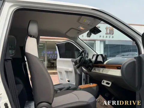 2022 Levdeo Mango 7
