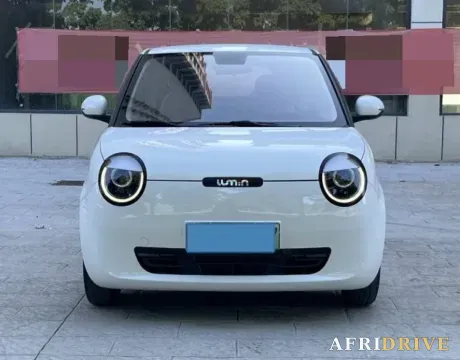 2022 Levdeo Mango 2
