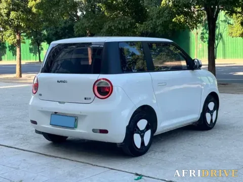2022 Levdeo Mango 7