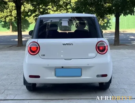 2022 Levdeo Mango 8