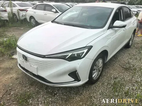 2020 Dongfeng RuiQi 6