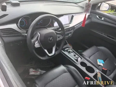 2020 Dongfeng RuiQi 6 9