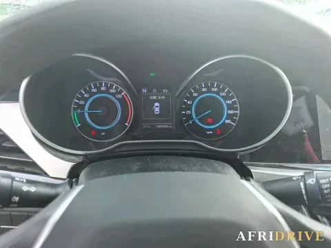 2020 Dongfeng RuiQi 6 10
