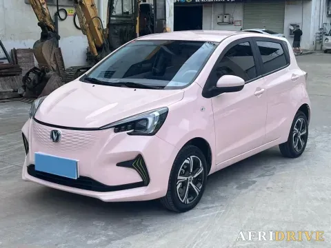 2022 ChangAn BenBen E-Star