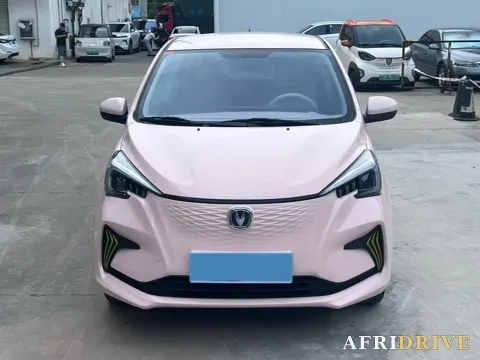 2022 ChangAn BenBen E-Star 2