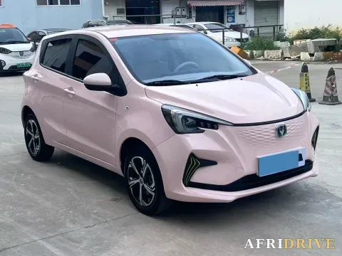2022 ChangAn BenBen E-Star 3
