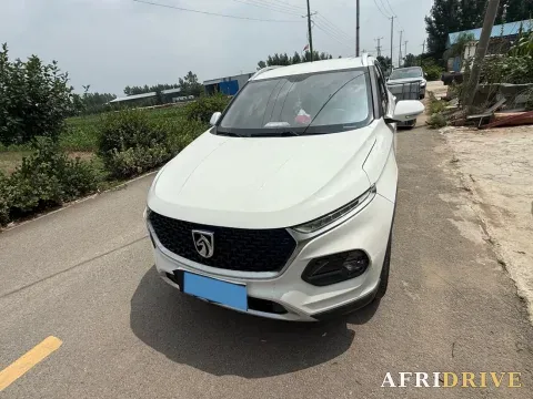 2019 BaoJun 510 2