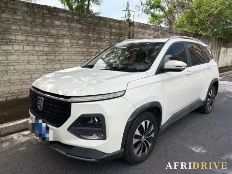 2020 BaoJun 530
