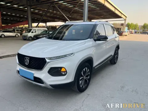 2019 BaoJun 510