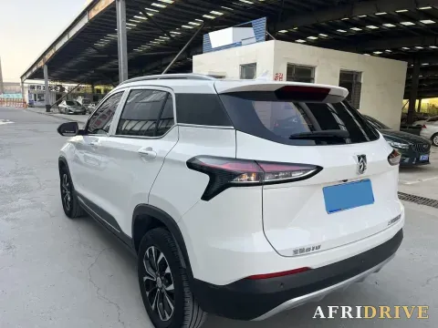 2019 BaoJun 510 6
