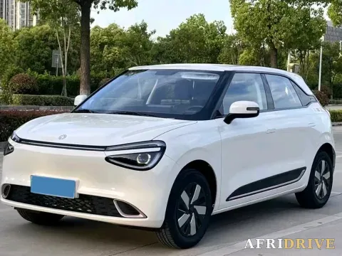 2024 DongFeng eπ 01