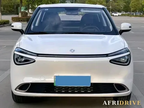 2024 DongFeng eπ 01 2