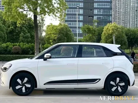 2024 DongFeng eπ 01 3