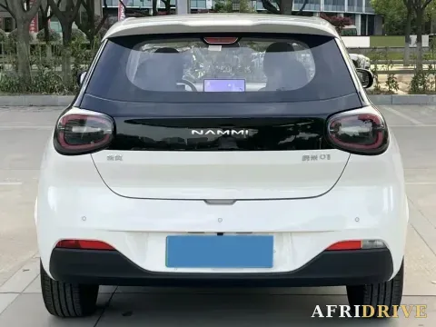 2024 DongFeng eπ 01 4
