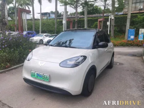 2024 WuLing BinGuo
