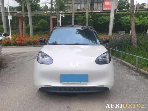 2024 WuLing BinGuo 2