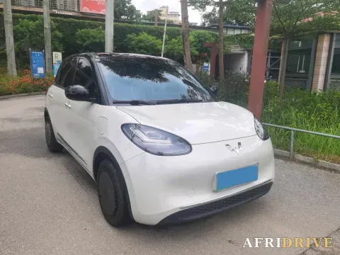 2024 WuLing BinGuo 3