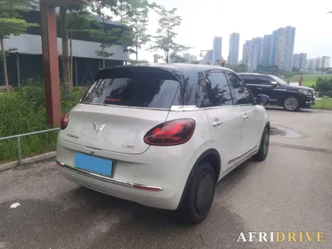 2024 WuLing BinGuo 4