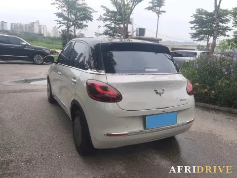 2024 WuLing BinGuo 5
