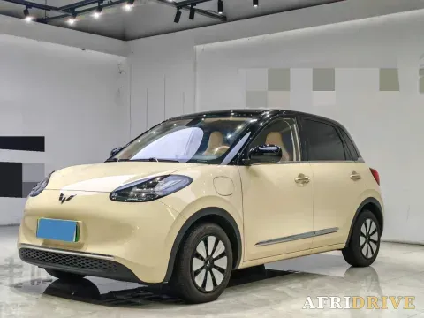2025 WuLing BinGuo