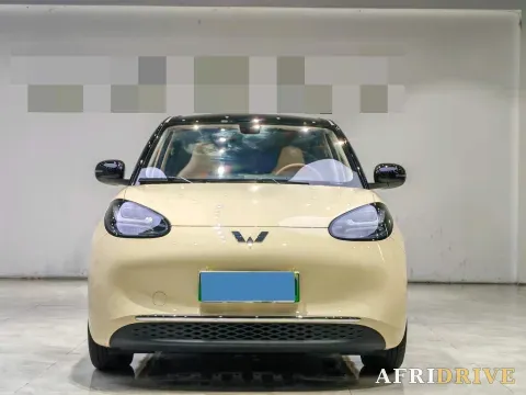 2025 WuLing BinGuo 2