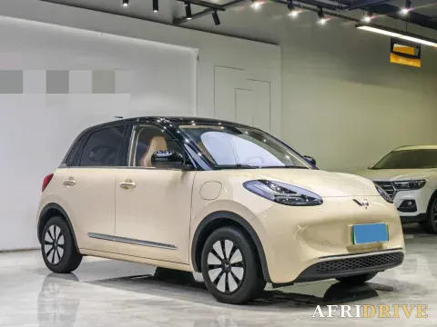 2025 WuLing BinGuo 3