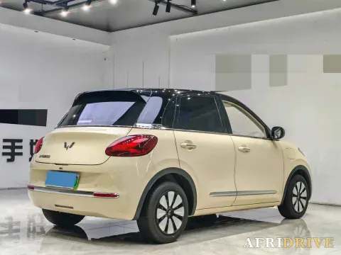 2025 WuLing BinGuo 9