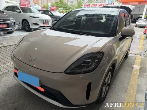 2025 WuLing BinGuo S