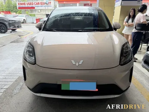 2025 WuLing BinGuo S 2