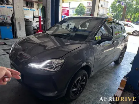 2021 Neta V
