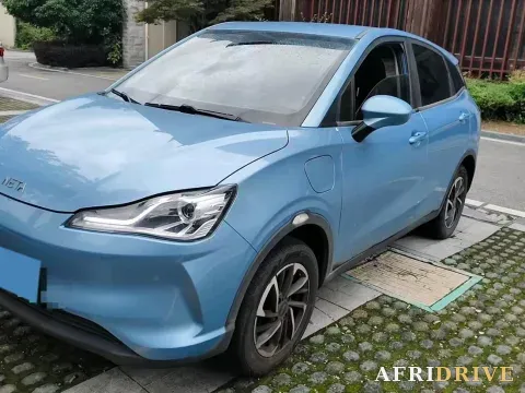 2021 Neta V
