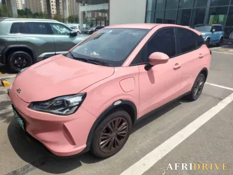 2021 Neta V
