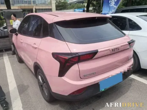 2021 Neta V 4
