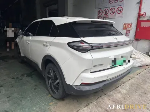2021 DongFeng FuKang e Elysee 6