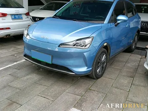 2022 Neta V