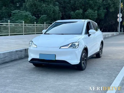 2022 Neta V