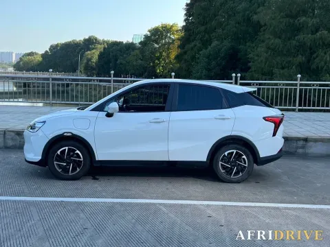 2022 Neta V 6