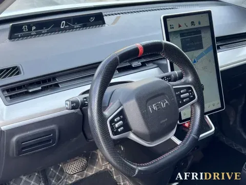 2022 Neta V 10