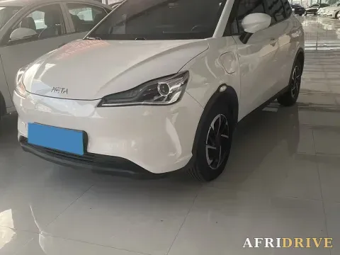 2021 Neta V