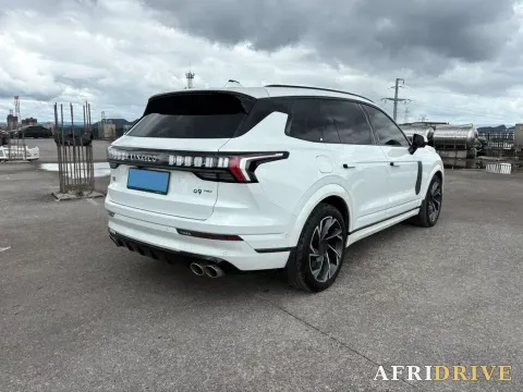 2021 LYNK&CO 09 EM-P 4
