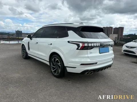 2021 LYNK&CO 09 EM-P 6