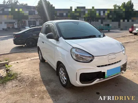 2021 Levdeo Mango 3