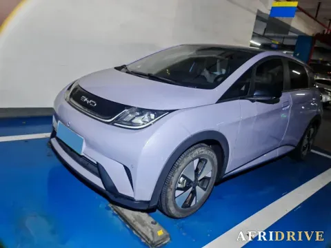 2023 BYD Dolphin
