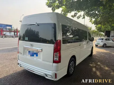 2019 Golden Dragon Sea Lion 2