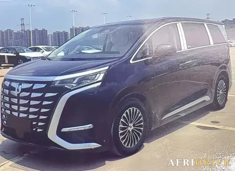 2024 Denza D9