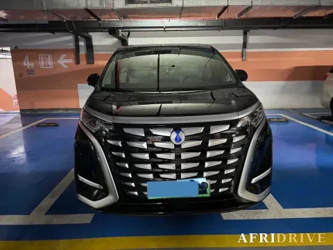2024 Denza D9 2
