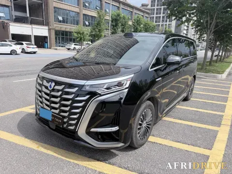2025 Denza D9