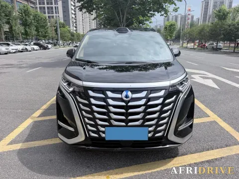 2025 Denza D9 2
